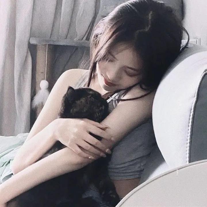荡妇 在线观看